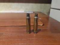 Any new firearm purchases?