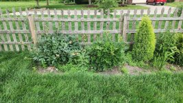 Weed Wacker recommendations