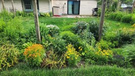 Weed Wacker recommendations
