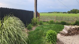 Weed Wacker recommendations