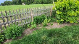 Weed Wacker recommendations