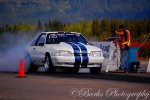 stang1.jpg