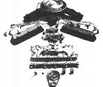 1982eng.jpg
