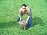 turtle-1.JPG