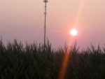 20180731_070538.jpg