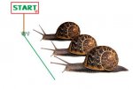 Snail-racing.jpg