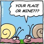 snail-12.jpg