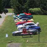 IMG_7803.JPG