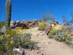 DSC01655.JPG
