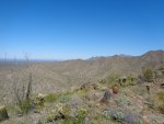 DSC01658.JPG