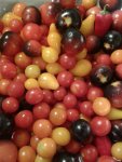 cherries.jpg