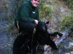 bear.jpg