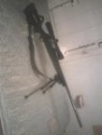 gun.jpg