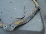 Gasket3.jpg