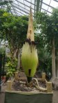 20160703_162554.jpg
