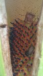 20160703_162609.jpg