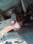 IMG_20200731_090149.jpg