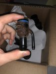 IMG_0527.jpeg
