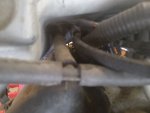 IMG_20200831_172720495.jpg