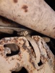 20201009_113124.jpg