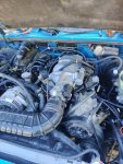 IMG_20201026_143054.jpg