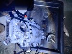 IMG_20201031_205144.jpg