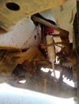 IMG_20120526_155346.jpg
