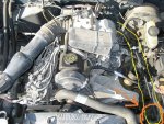 Ranger guts 69420.jpg