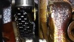 2001 ranger20121206_200426.jpg
