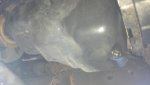 2013-03-05_07-41-26_522.jpg