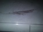 20201113_231744.jpg
