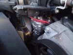 IMG_20201123_163936.jpg
