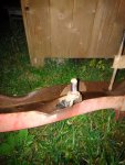 IMG_20201125_171218.jpg