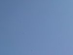 IMG_20201126_161649.jpg