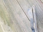 20201212_132335.jpg