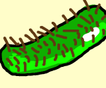 HDQm3jLSMw-2.png