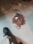 20201227_062439.jpg