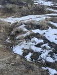 B64002C8-15AD-4CED-B934-4A26ADB70839.jpeg