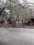 winter.jpg