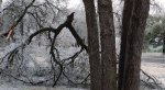 icestorm.jpg