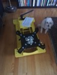IMG_20210307_162415.jpg
