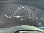 IMG_0379.jpeg