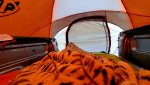 20210313_080028.jpg