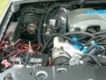 trk pictures 019.jpg