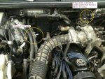 hoses.jpg