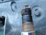 Ranger Spark Plug.jpg
