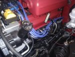 IMG_20210530_151703302.jpg