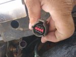 Image8779054157467640533.jpg