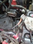 IMG_20210729_133756.jpg