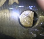 _20210730_110959.JPG